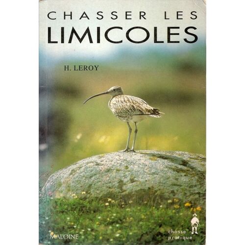 Chasser Les Limicoles