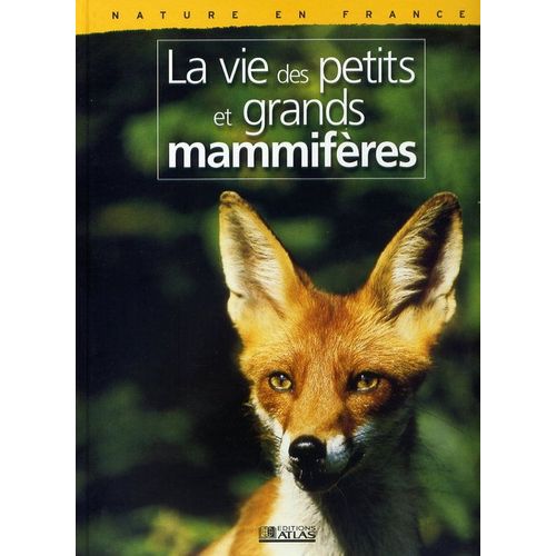 La Vie Des Petits Et Grands Mammifères