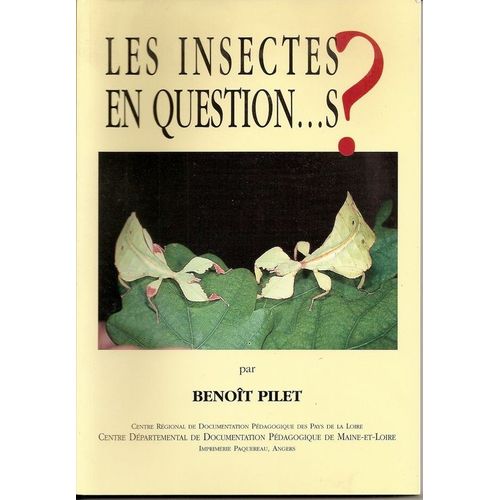 Les Insectes En Questions