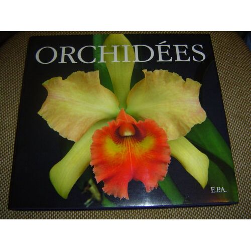 Orchidées