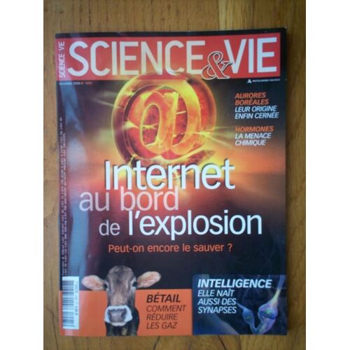 Science Et Vie  N° 1095 : Internet: Au Bord De L'explosion