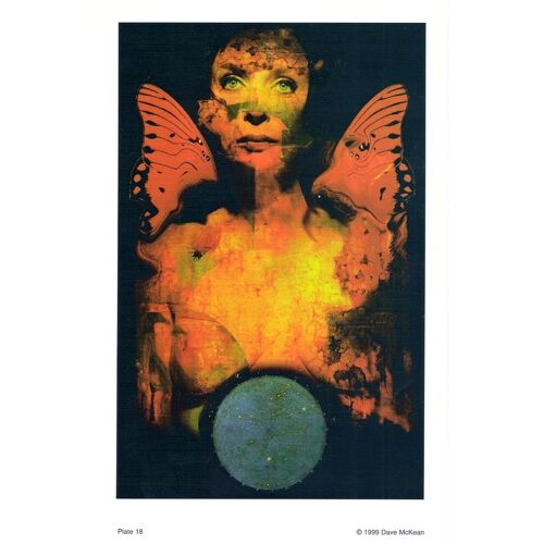 Dave Mckean Affiche - "Neil Gaiman's & Charles Vess Sardust"