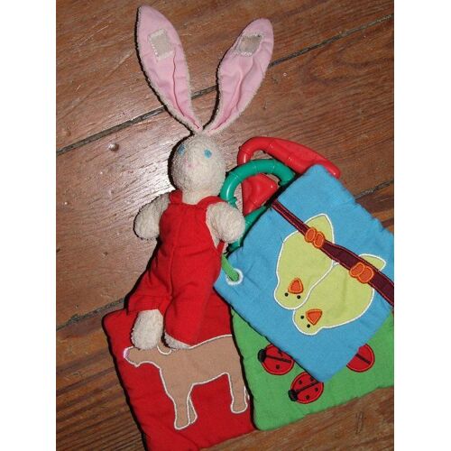 Lapin D' Activite Avec Son Livre En Tissu Latitude Enfant Doudou Peluche A Grelot
