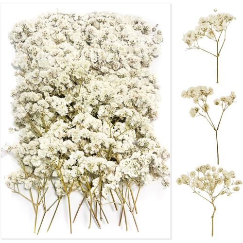 KALANKA-100 Pièces Multi Bourgeons Gypsophile Séché Gypsophile Blanc Fleurs Séchées Fleur Sechees Decoration Fleurs Sechees Naturelles Fleurs Sechees Fleur Sechee pour Bricolage Bougie Résine Nail Ar