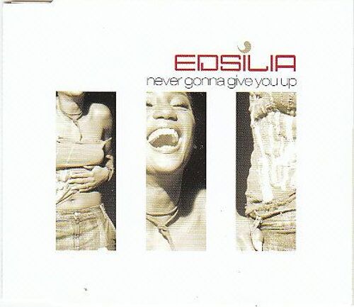 Never Gonna Give You Up