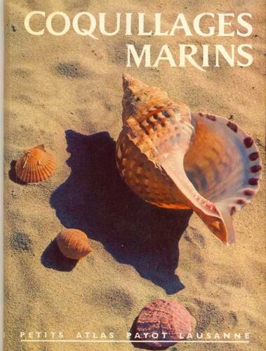 Coquillages Marins