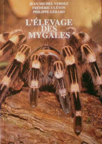 L'élevage Des Mygales