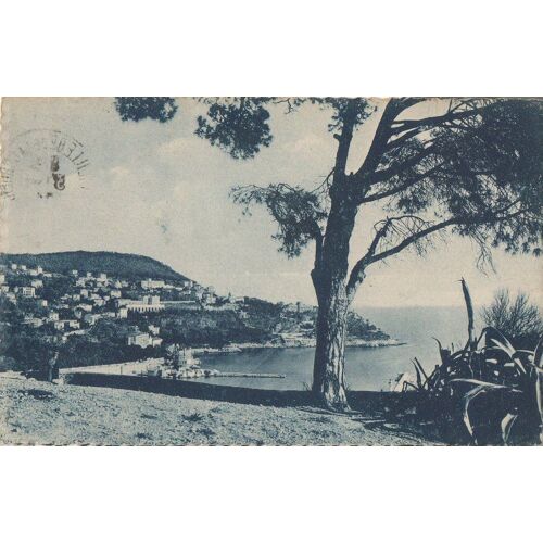 Carte Postale - Nice - Le Mont Boron Et L'entrée Du Port