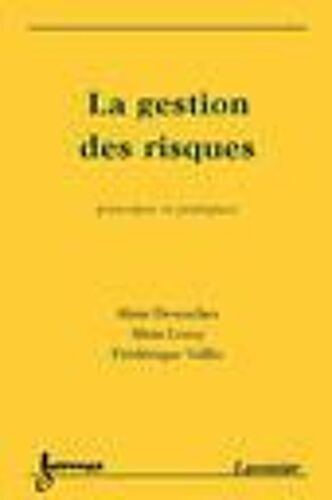 La Gestion Des Risques : Principes Et Pratiques