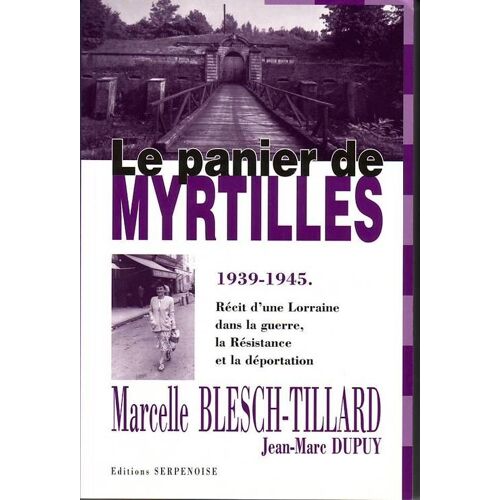 Le Panier De Myrtilles