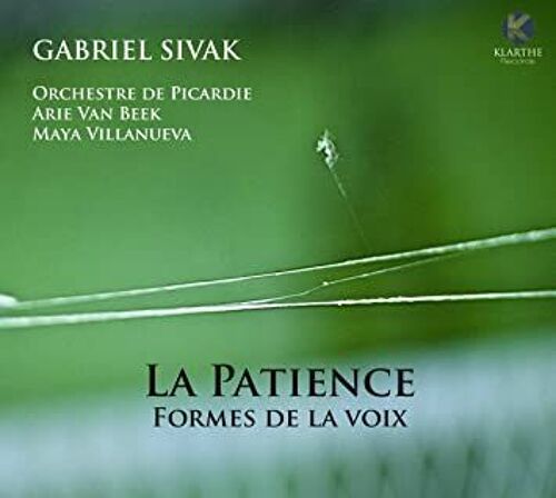 La Patience - Formes De La Voix