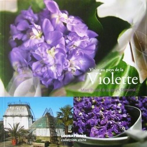 Visite Au Pays De La Violette