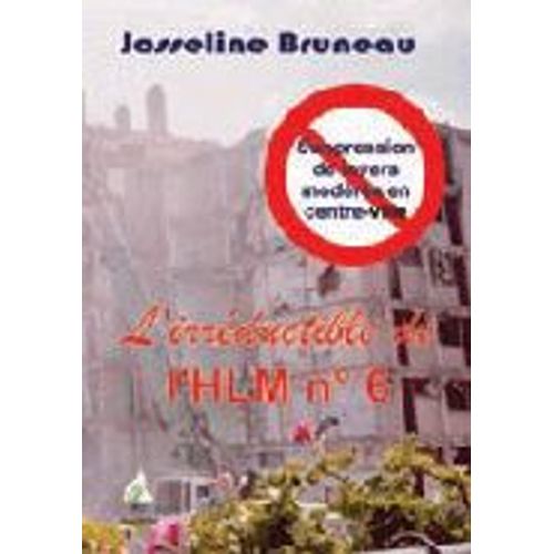 L'irréductible De L'hlm N°6