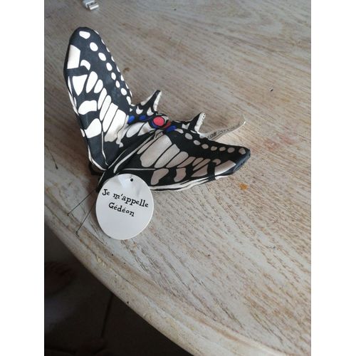 Papillon Atlas Gedeon-Atlas