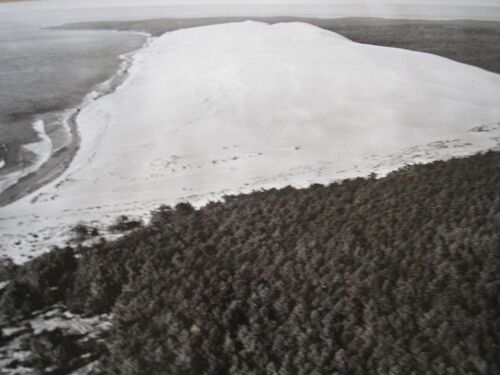 Lapie N° 25 La Grande Dune Du Pilat ( Sud Du Bassin D' Arcachon )