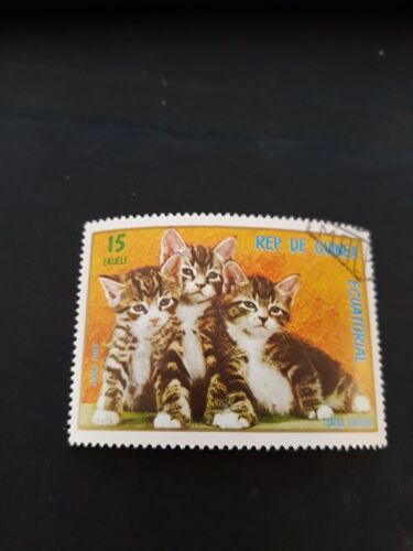 Timbre Chat Chaton Guinée Équatoriale Tp15