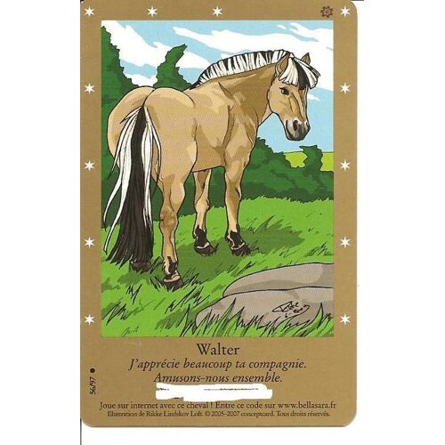 Carte Bella Sara Walter 56/97 Code Non Activée
