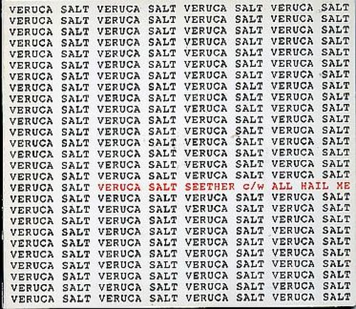 Veruca Salt : Seether