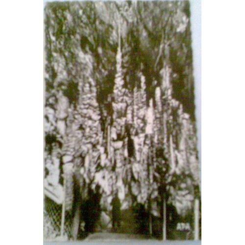 Aven Armand-La Grande Stalagmite De 30m De Hauteur