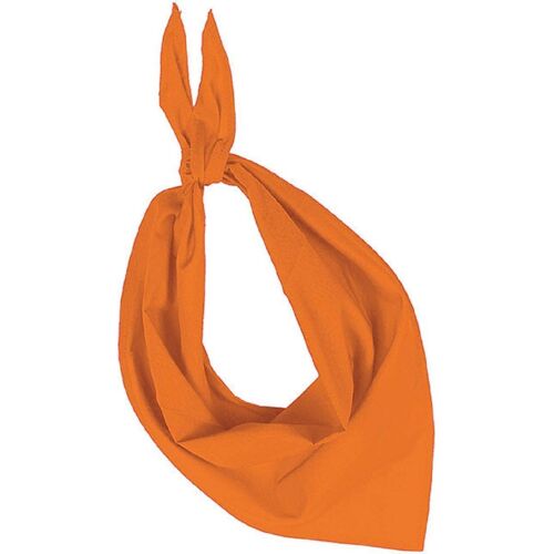 Lot De 10 Bandanas Fiesta - Orange