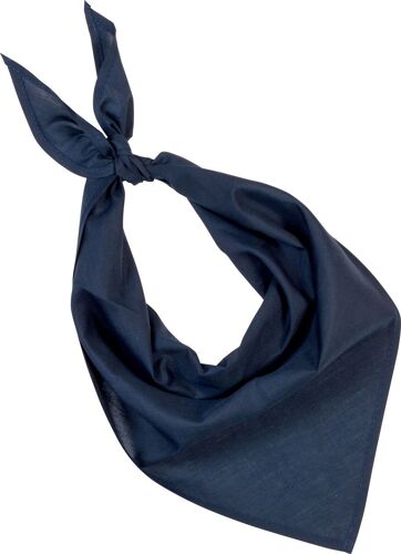 Lot De 10 Bandanas Fiesta - Bleu Marine