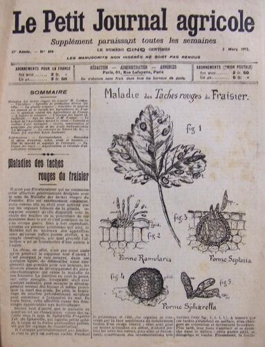 Le Petit Journal Agricole Du 03-03-1912  N° 844 : Maladies Des Taches Rouges Du Fraisier