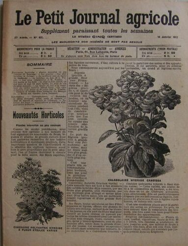Le Petit Journal Agricole Du 14-01-1912  N° 837 : Nouveautés Horticoles - Plantes Nouvelles Ou Peu Connues.
