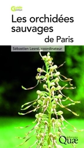 Les Orchidées Sauvages De Paris