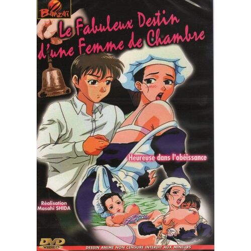 Le Fabuleux Destin D'une Femme De Chambre
