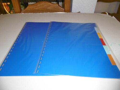 Lot De 2 Jeux Intercalaires 7 Touches Polypropylene Pour Reliure A Spirale Fellowes 53516