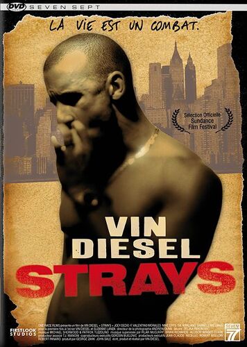 Strays - Edition Locative