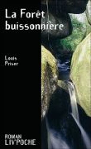 La Forêt Buissonniere