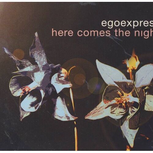 Here Comes The Night