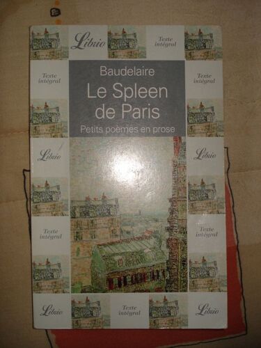 Le Spleen De Paris