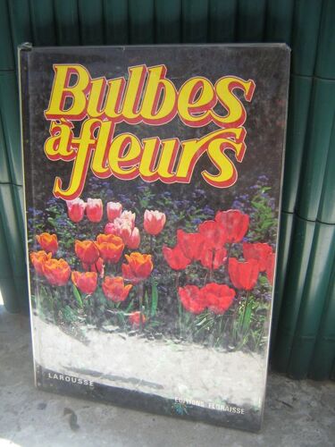 Les Bulbes A Fleurs