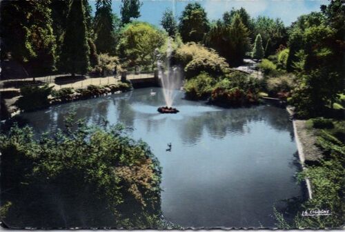 Cpsm Vichy (Allier) Reine Des Villes D'eaux-Le Bassin Des Cygnes Dans Les Grands Parcs