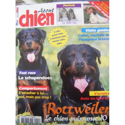 Atout Chien N° 220 : Rottweiller Le Chien Puissance 10 !