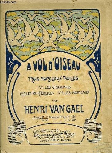 A Vol D'oiseau