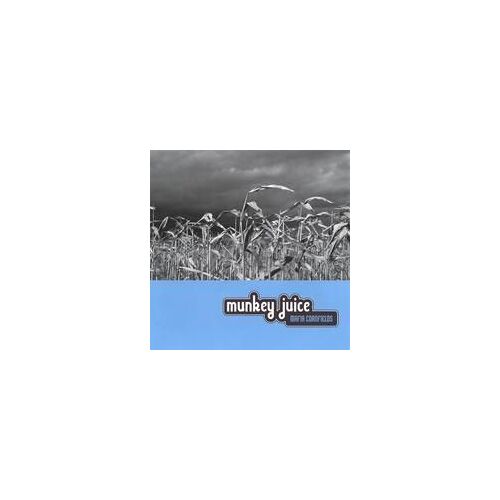 Mafia Cornfields