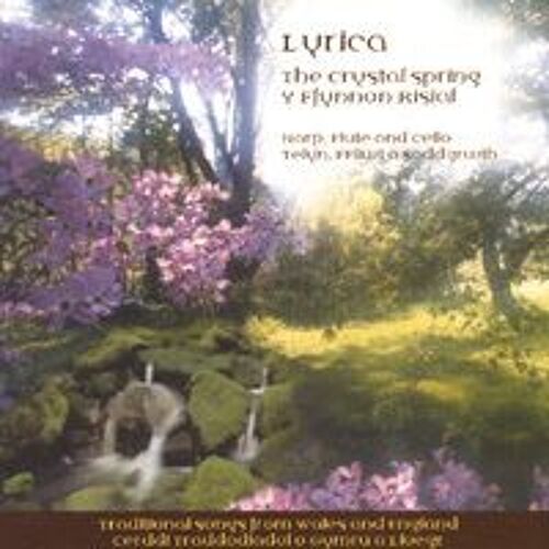 The Crystal Spring/Y Ffynnon Risial
