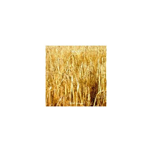 Fields Unsown