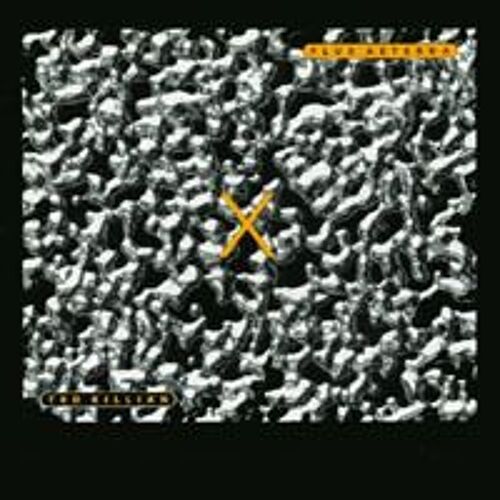 Flux Aeterna