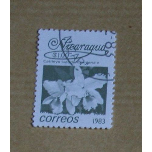 Timbre  Oblitéré Nicaragua