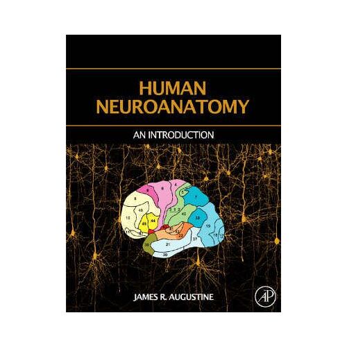 Human Neuroanatomy