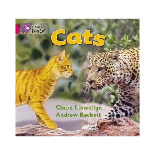 Cats