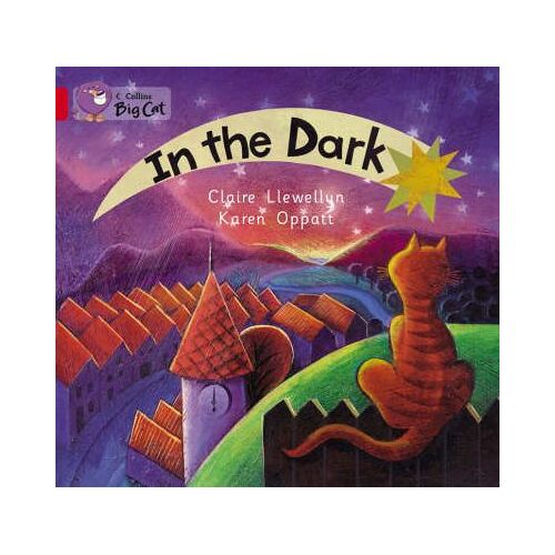 In The Dark