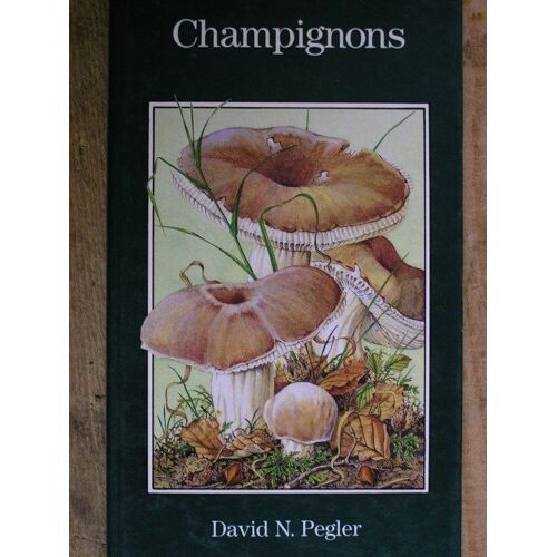 Champignons