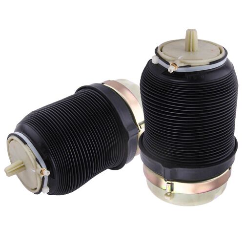 2x Amortisseur Pneumatique Arrière Pour Audi A6 4f C6 4f0616001j 2.0 2.7 2.8