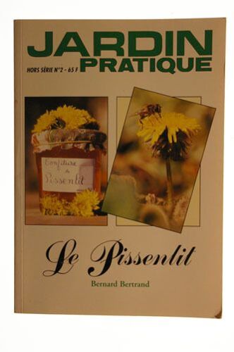 Jardin Pratique : Le Pissenlit