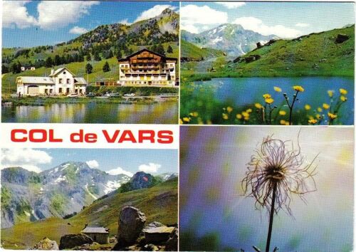 Carte Postale, France, Hautes Alpes, Col De Vars, Le Refuge, Lac, Pissenlit - Oblitération Du 29/08/1988